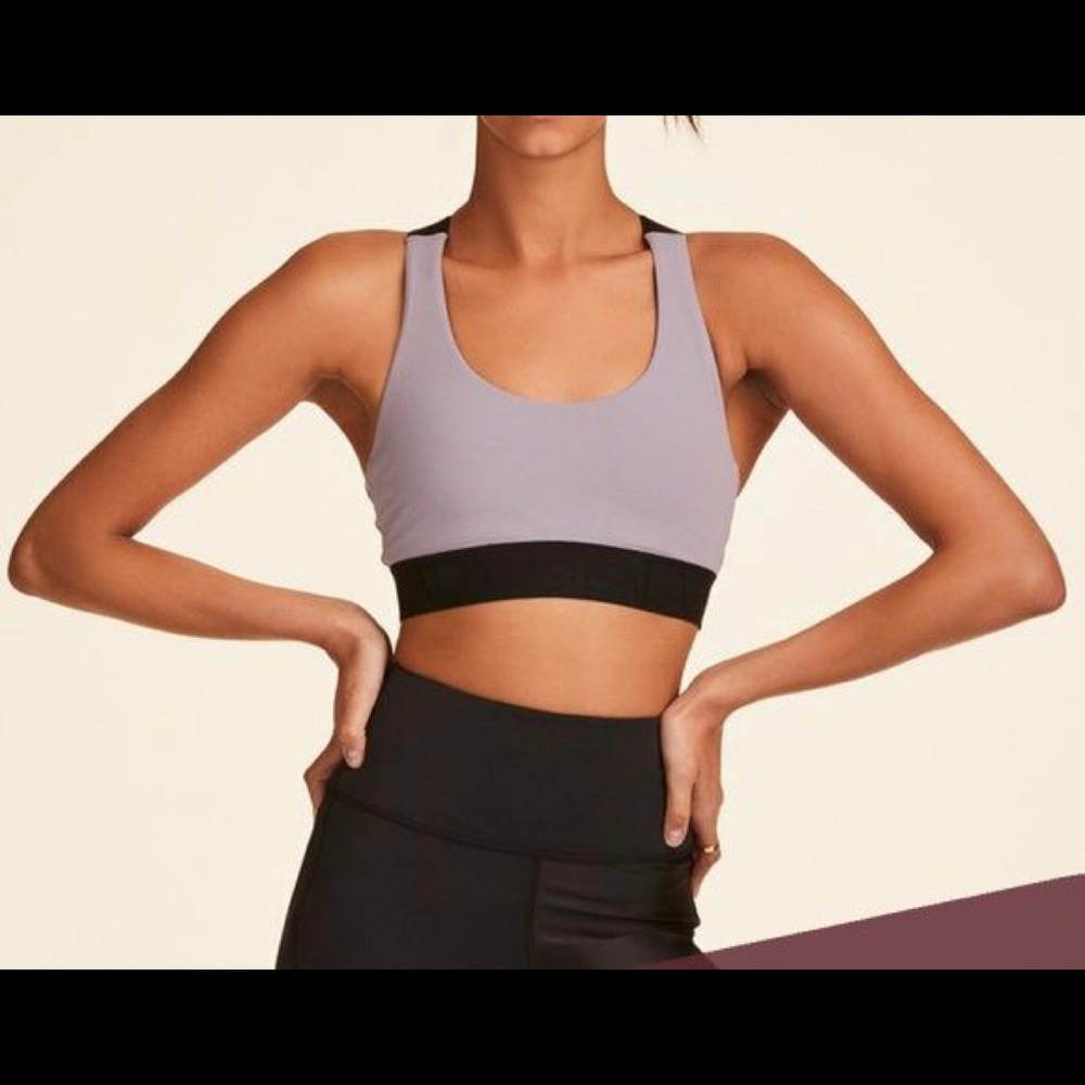 Alala Purple Eclipse Bra in Size Small